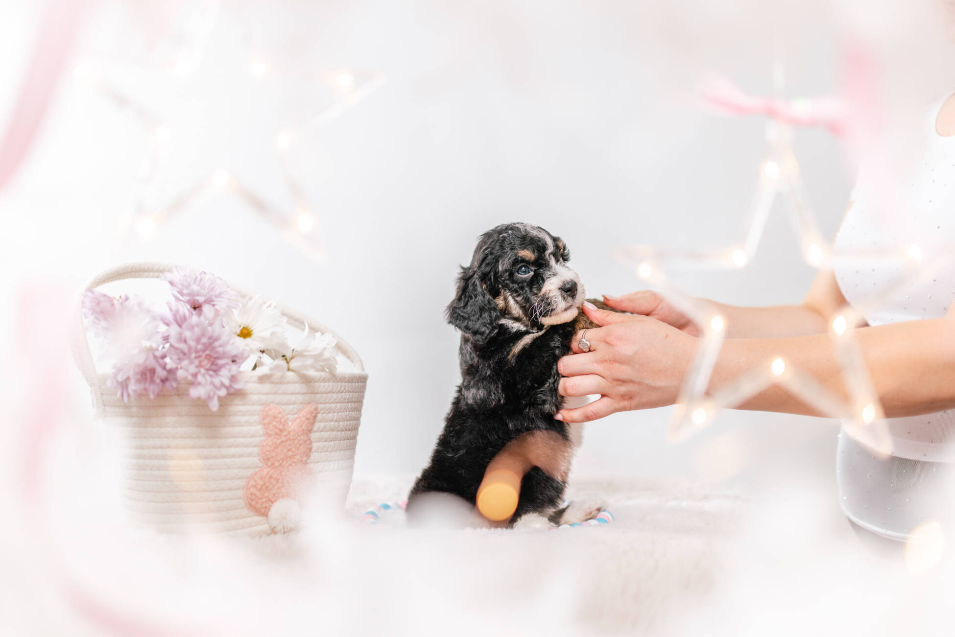 3litter 2g7020фифи 4