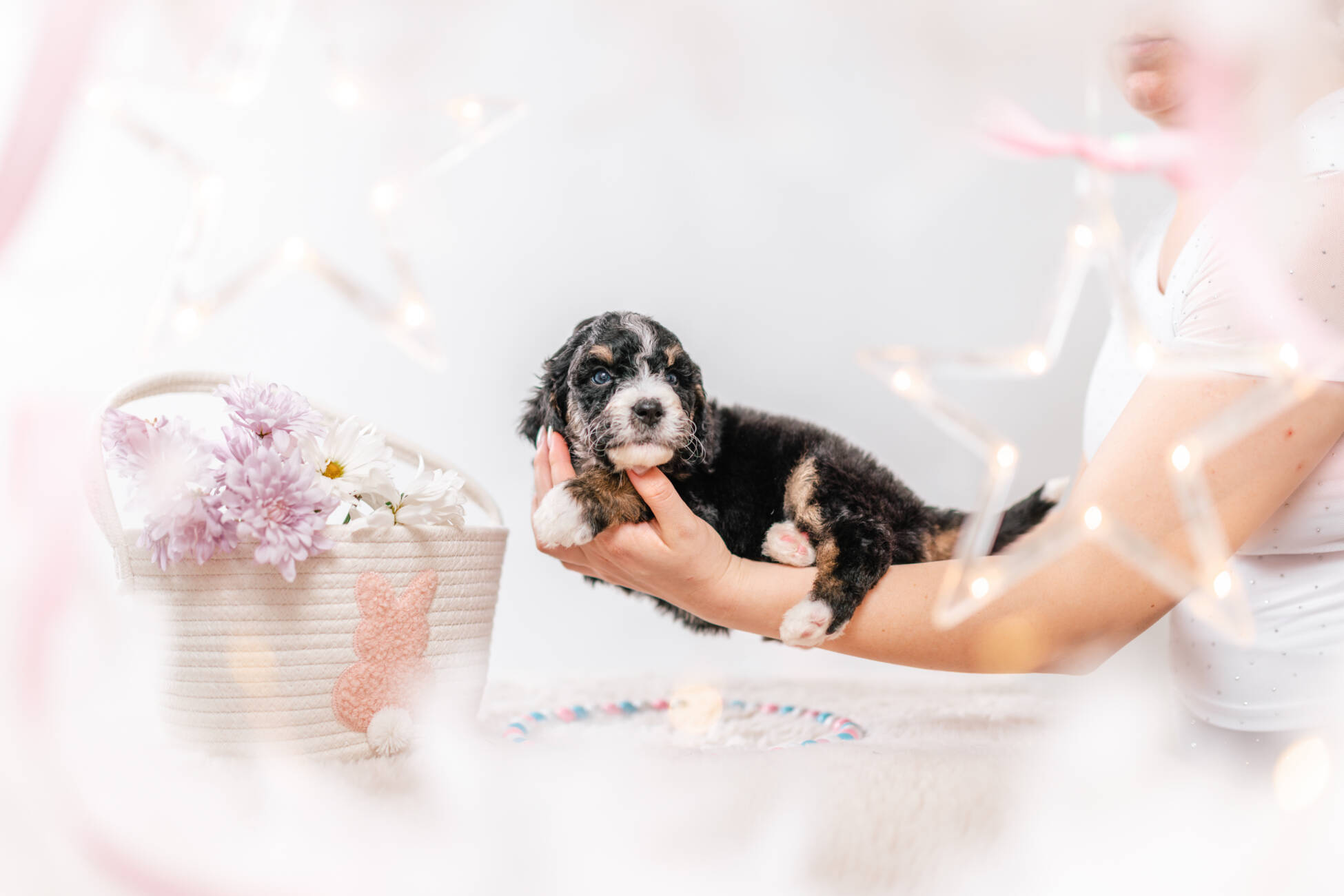 3litter 2g7020фифи 5