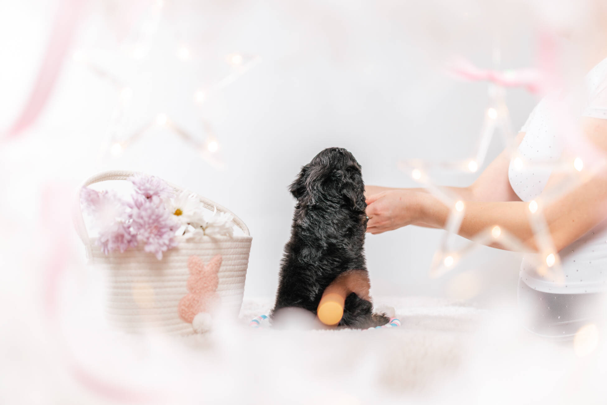 3litter 2g7020фифи 6