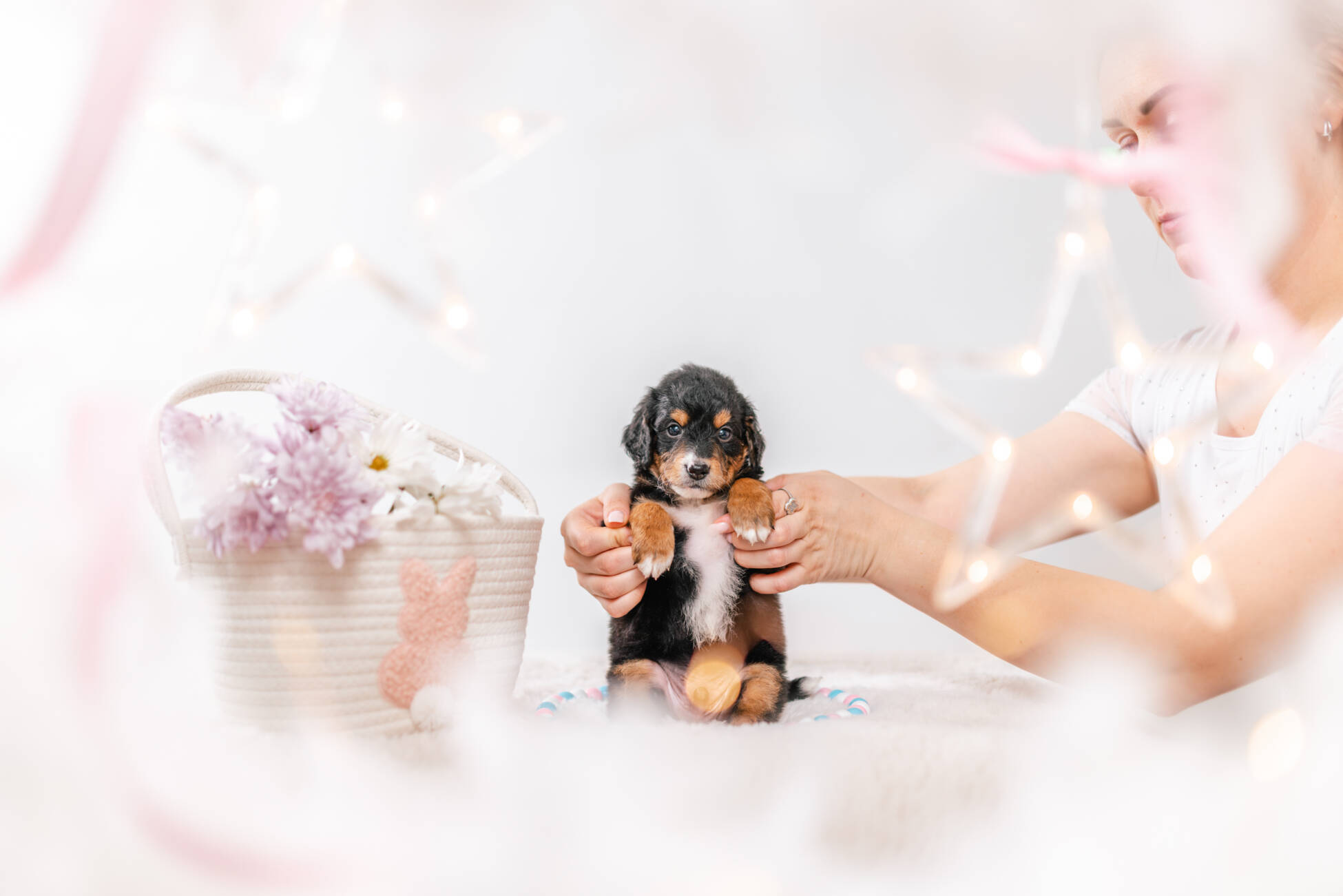 3litter 3b7028феликс 2