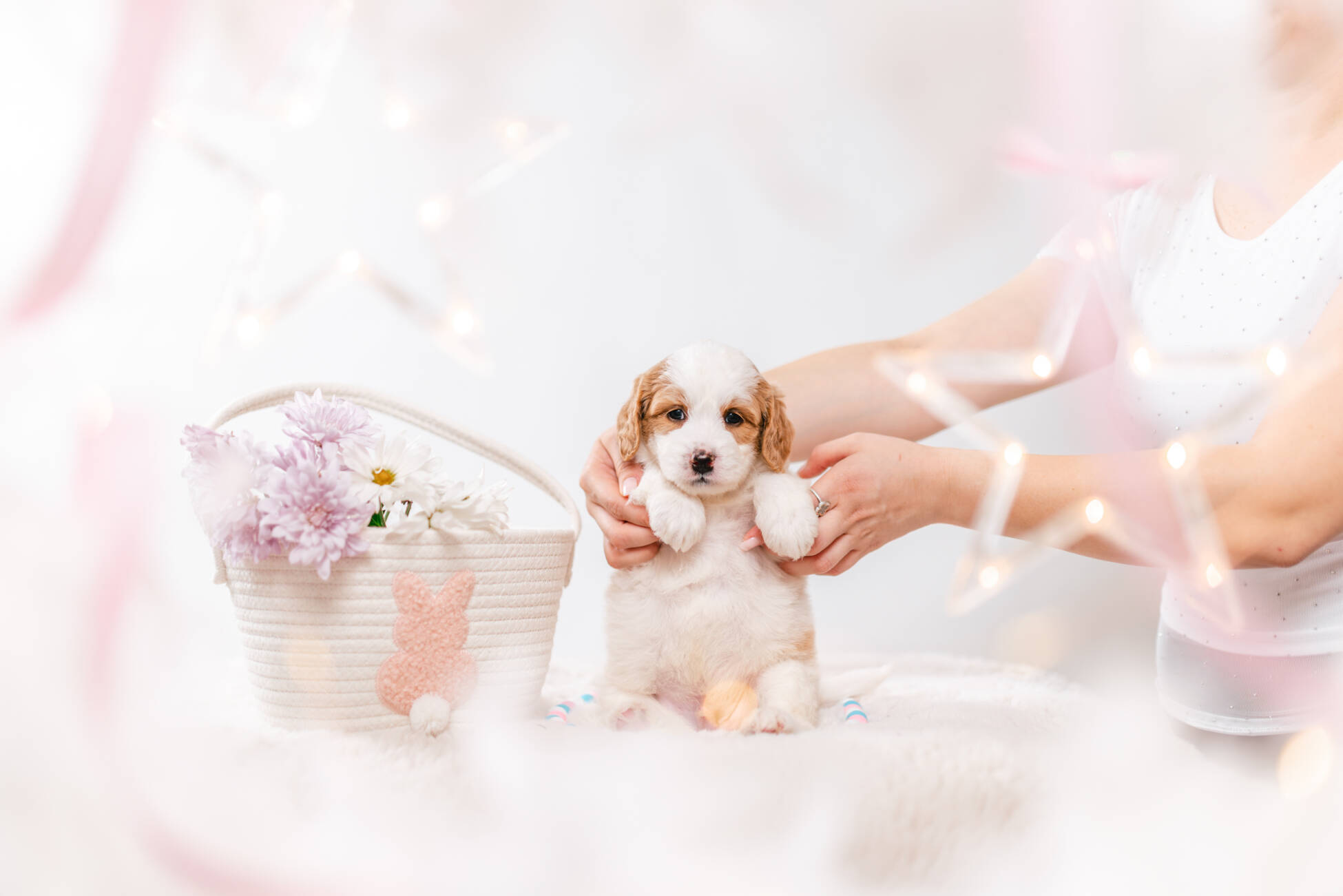 3litter 7b7227фаззи 2