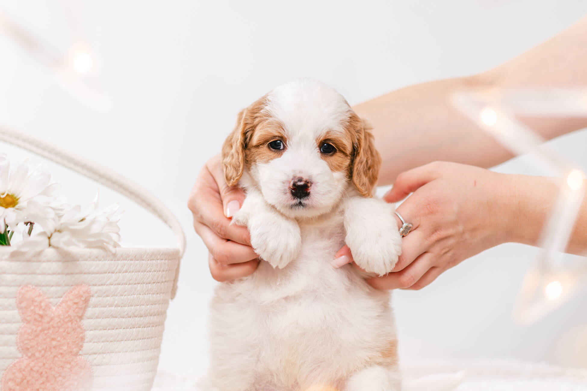 3litter 7b7227фаззи 3