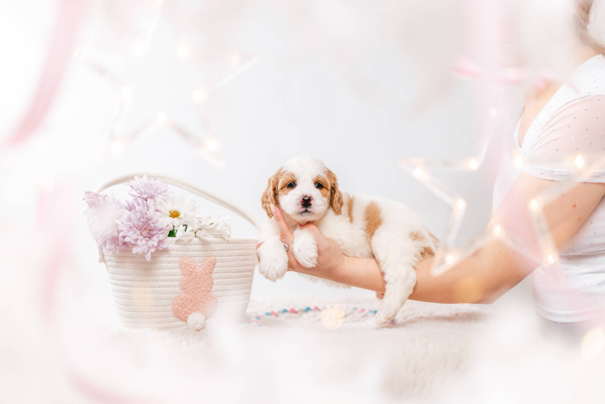 3litter 7b7227фаззи 5