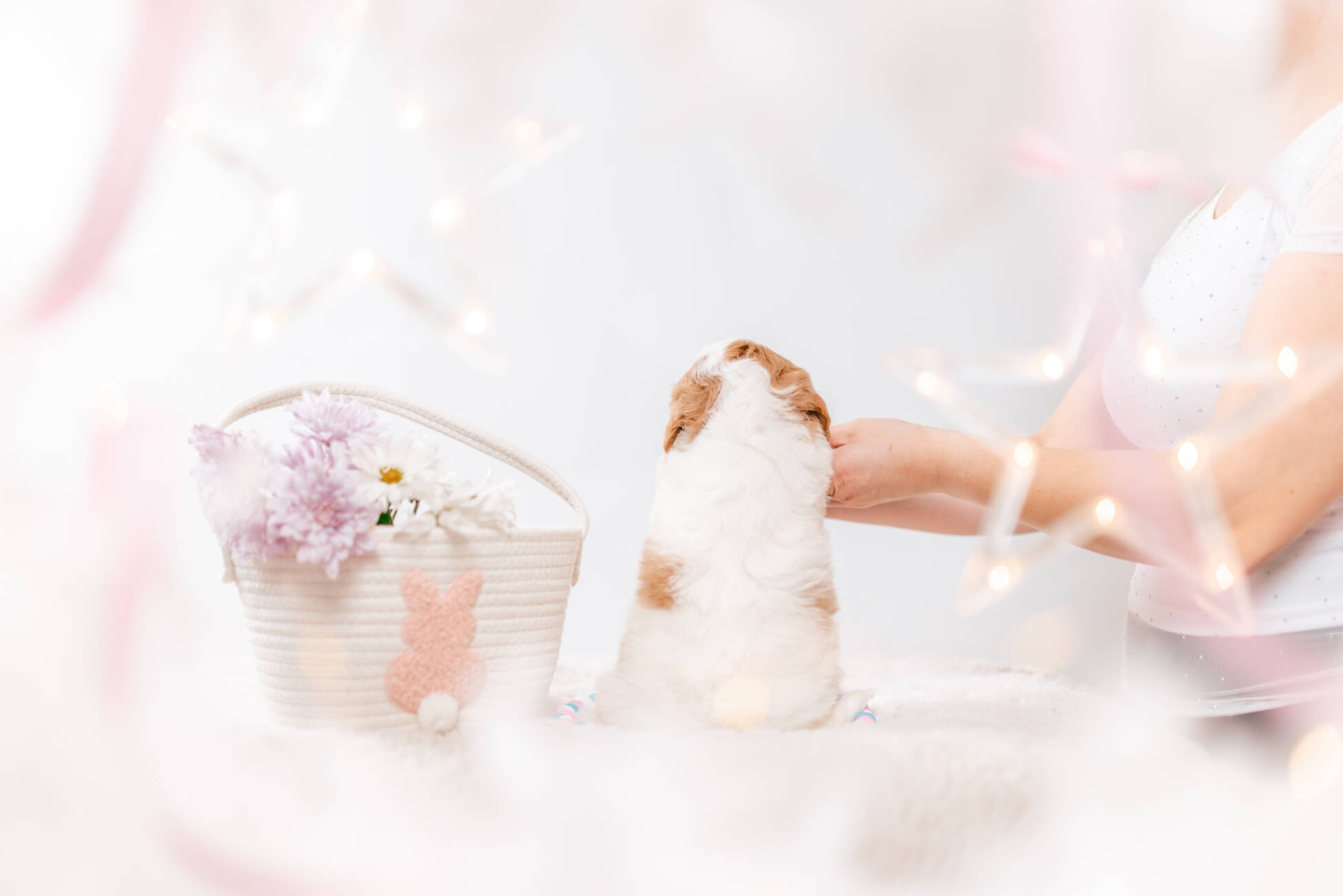 3litter 7b7227фаззи 6