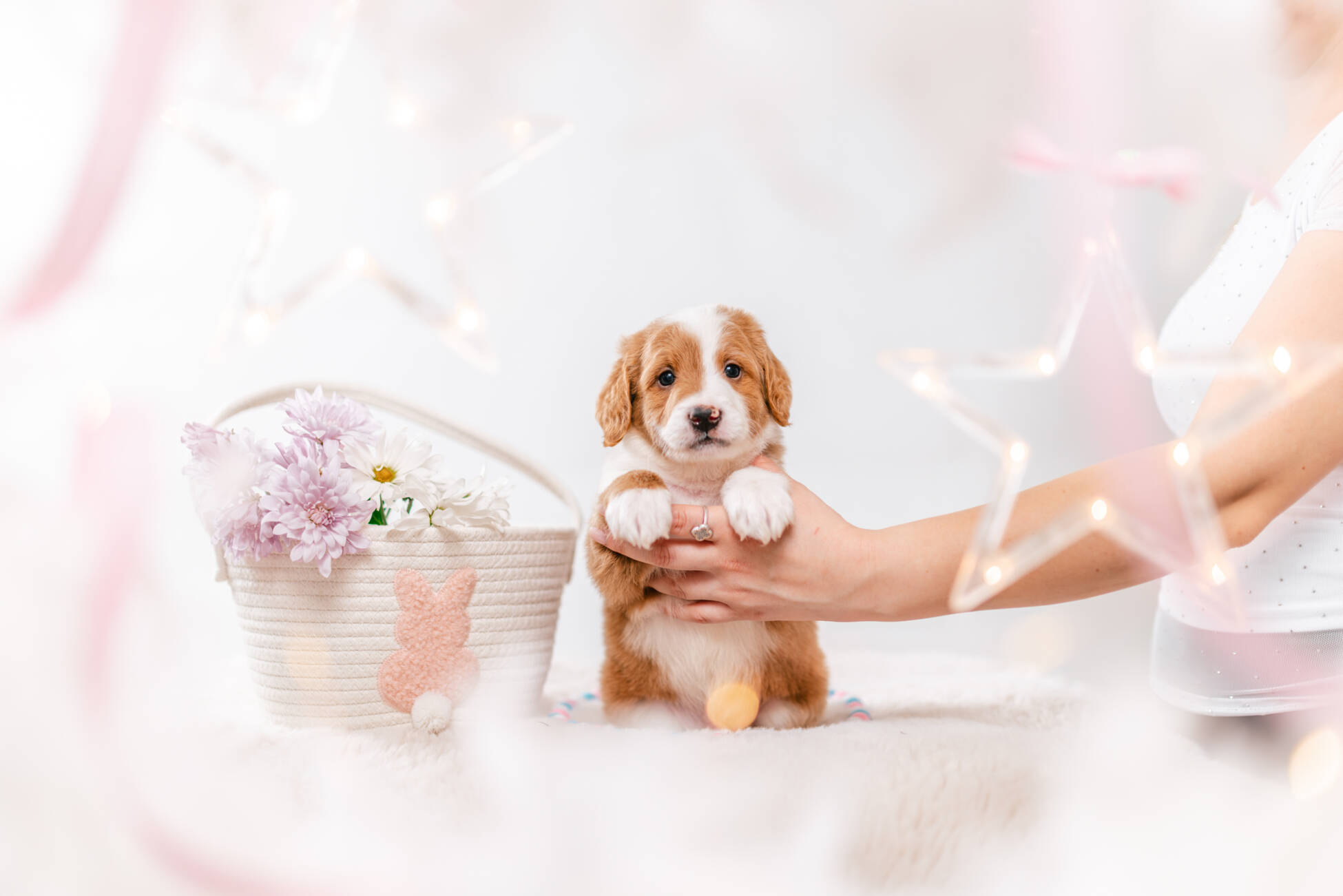 3litter 8b7222финн 1