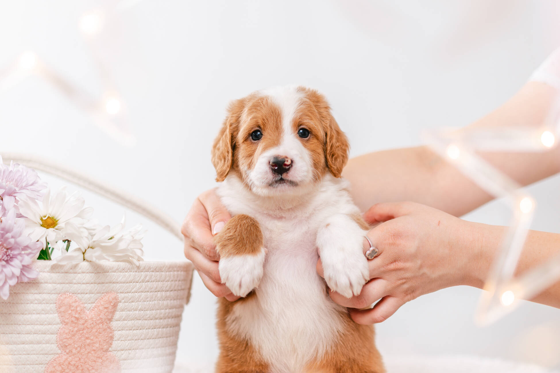 3litter 8b7222финн 2