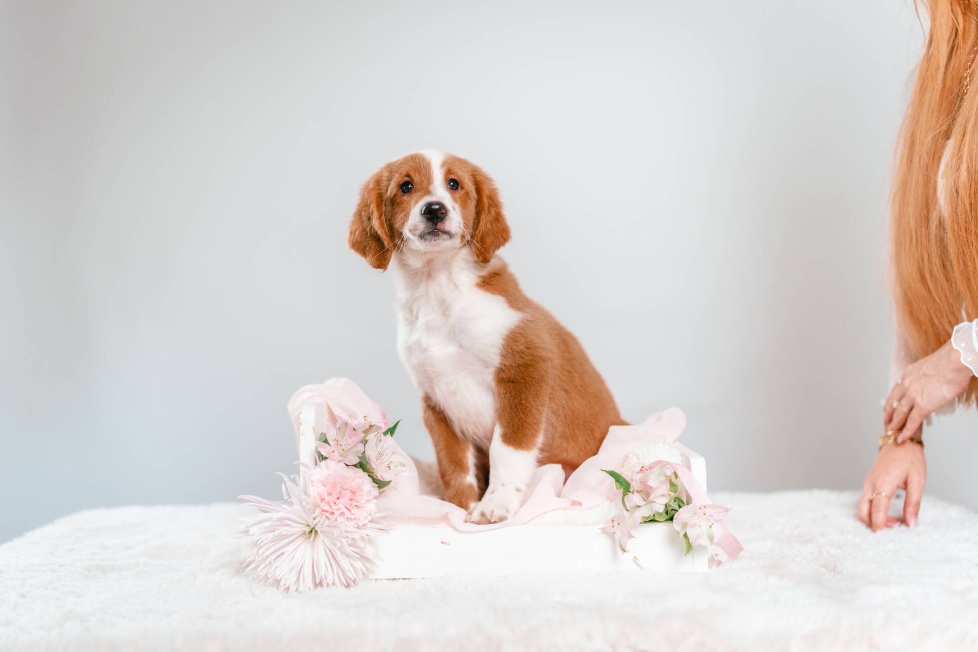 4litter 3В7222финн 1