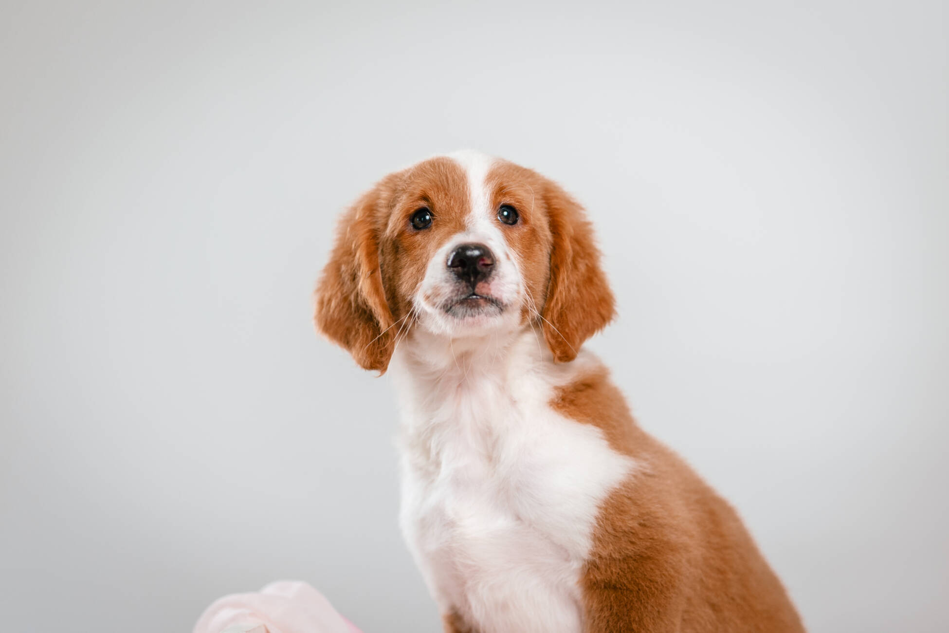 4litter 3В7222финн 2