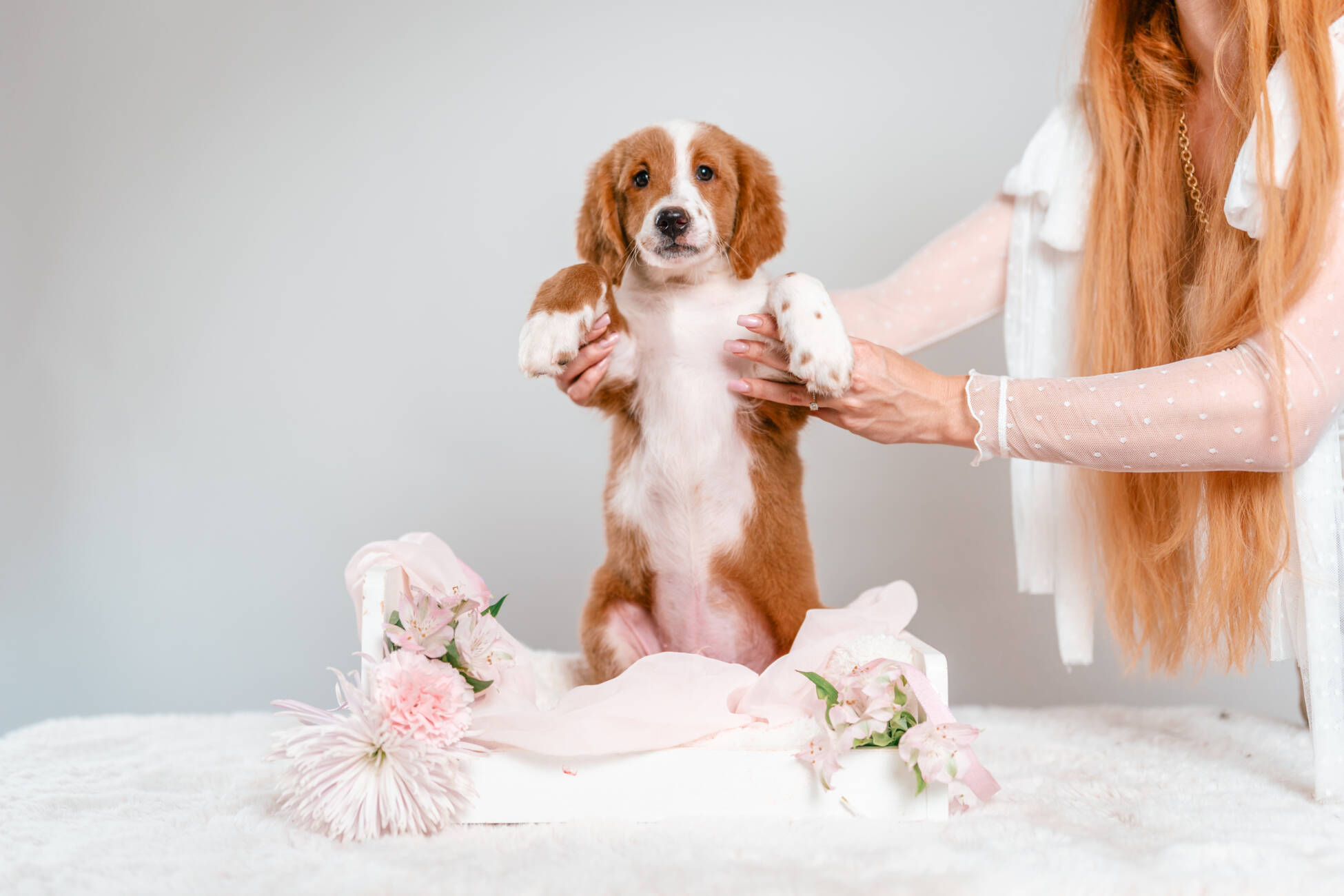 4litter 3В7222финн 3