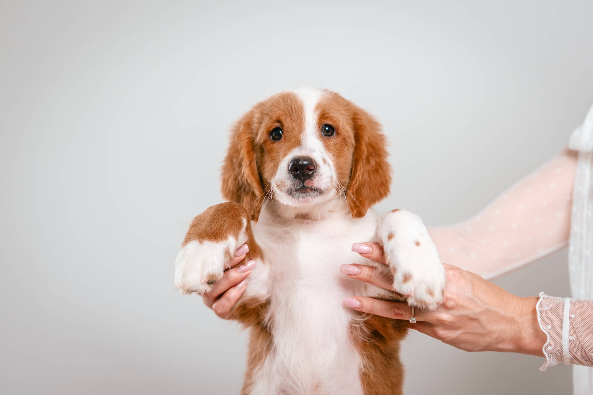 4litter 3В7222финн 4