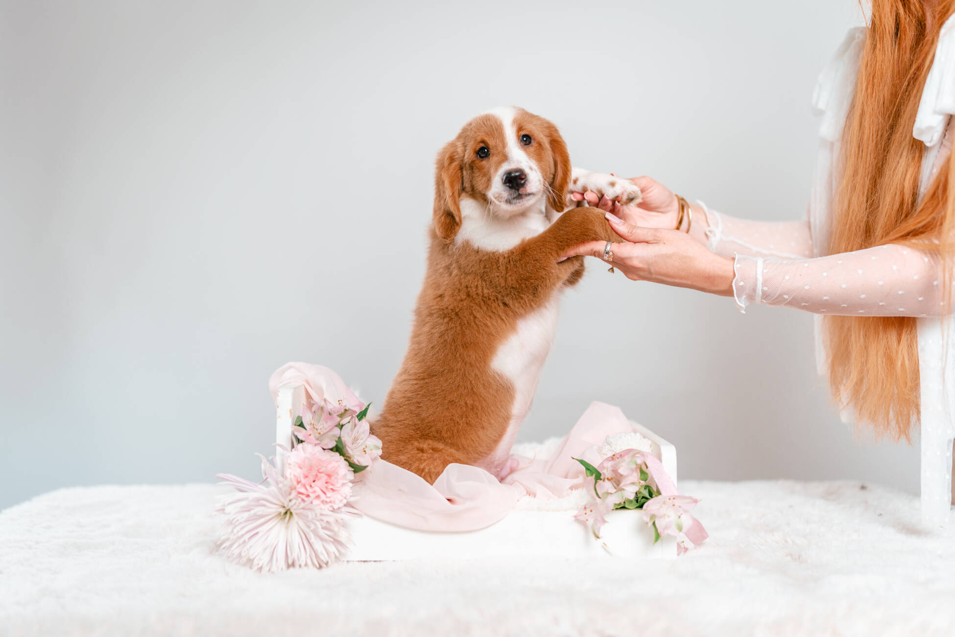 4litter 3В7222финн 5