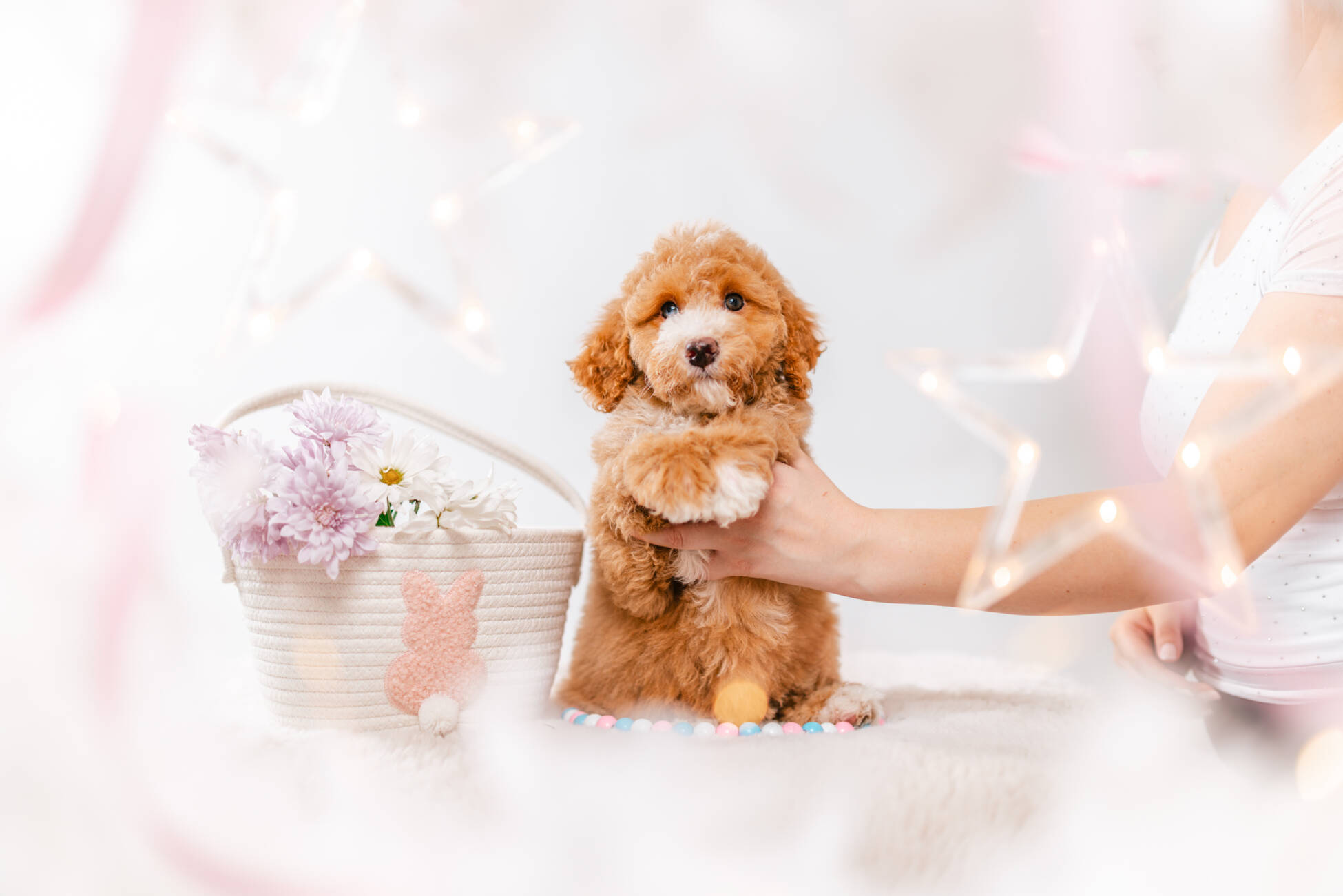 4ёlitter 1 7033мелоди 1