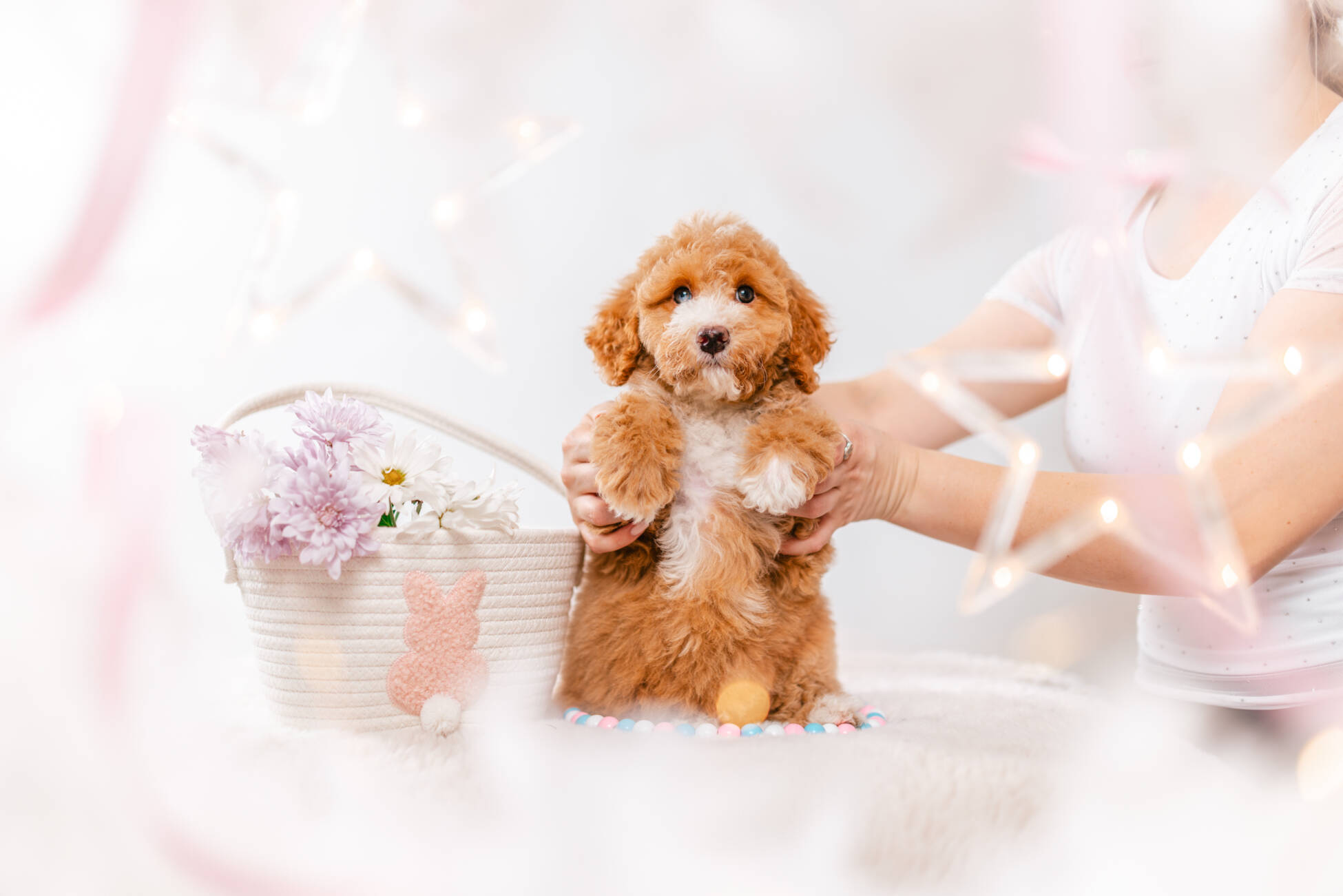 4ёlitter 1 7033мелоди 3