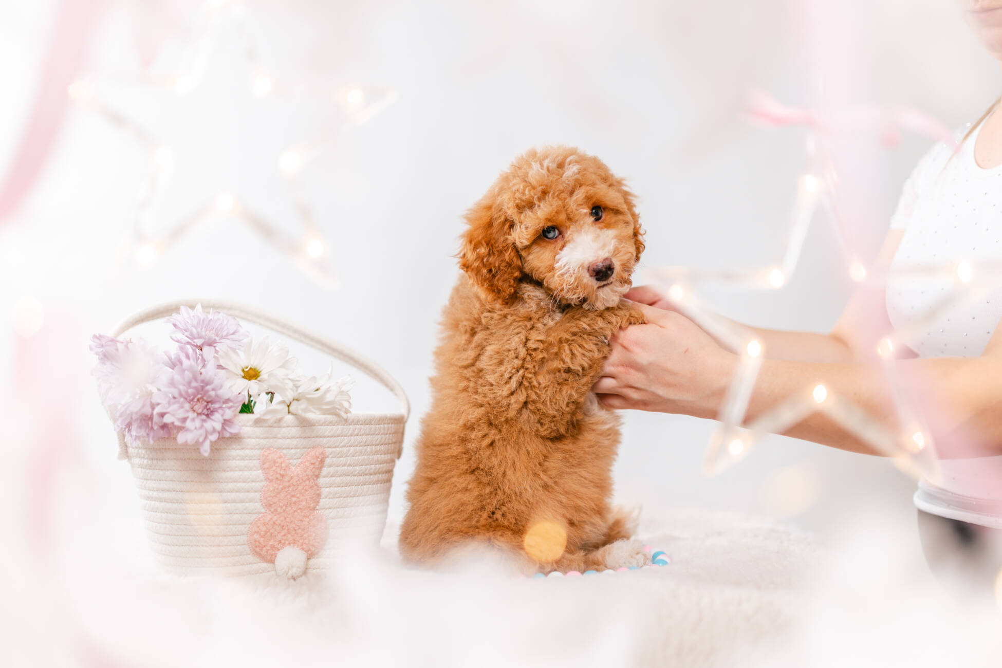 4ёlitter 1 7033мелоди 4