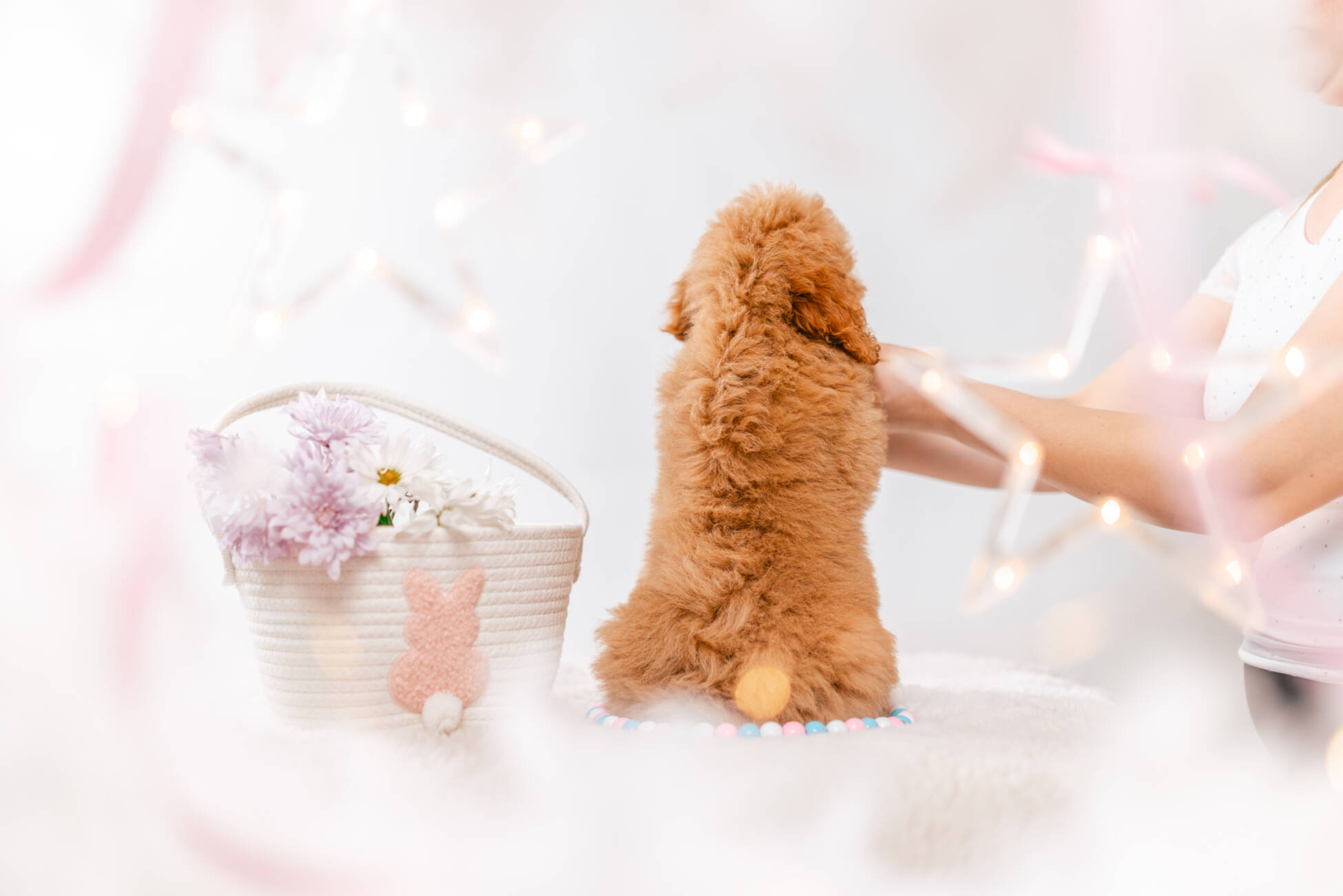 4ёlitter 1 7033мелоди 5