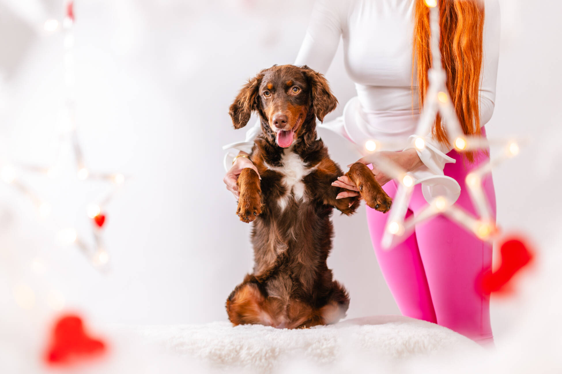 6litter 5пампкин 3