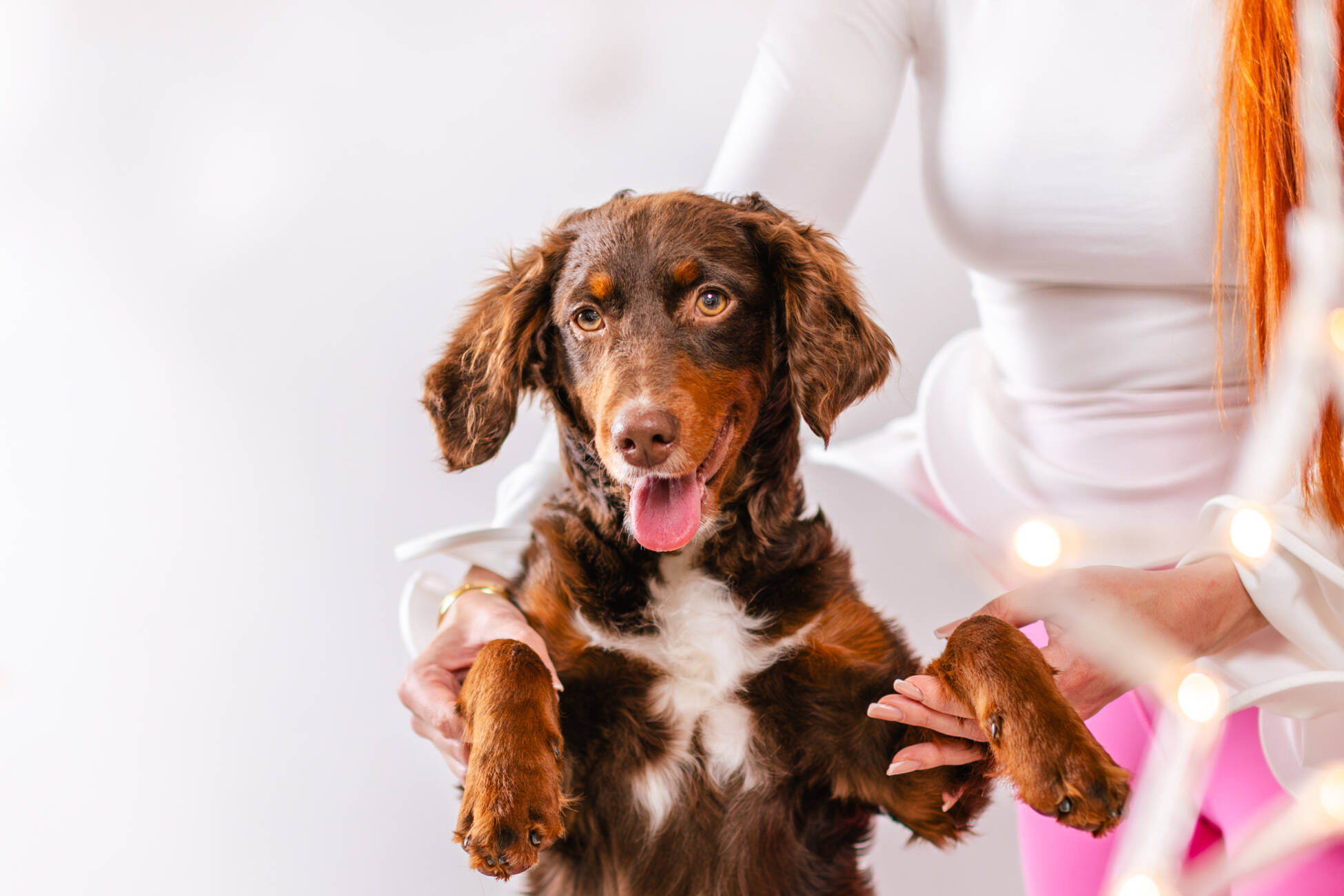 6litter 5пампкин 5