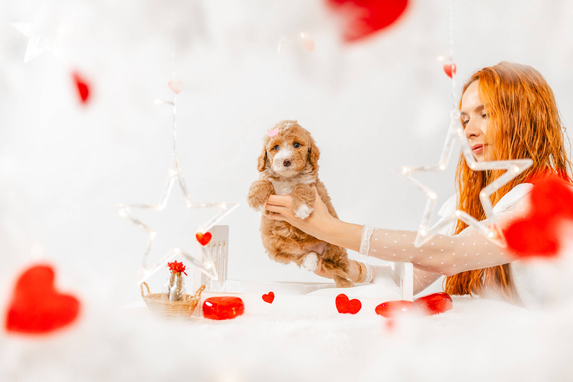 7litter 1g7033мелоди 1