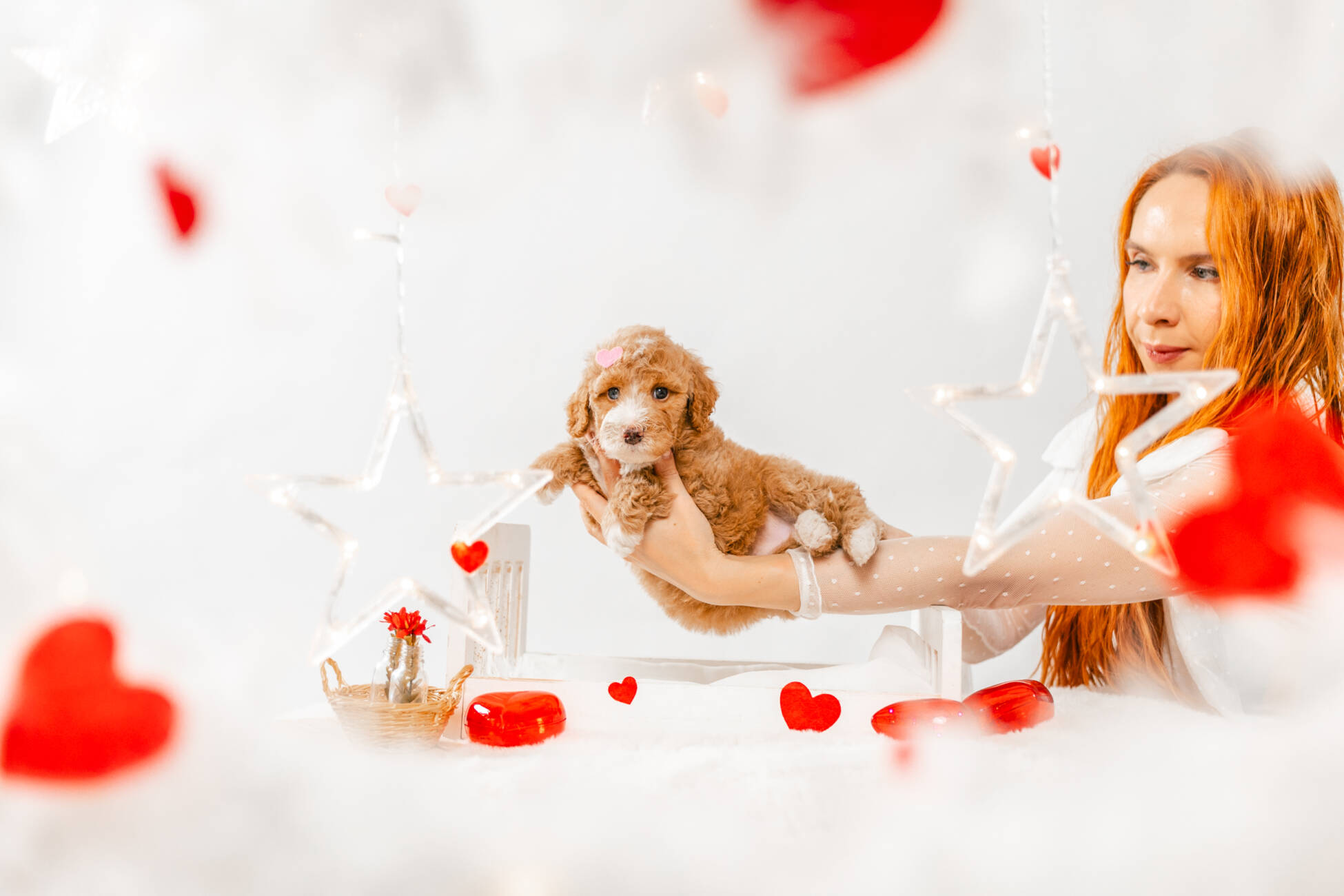 7litter 1g7033мелоди 2