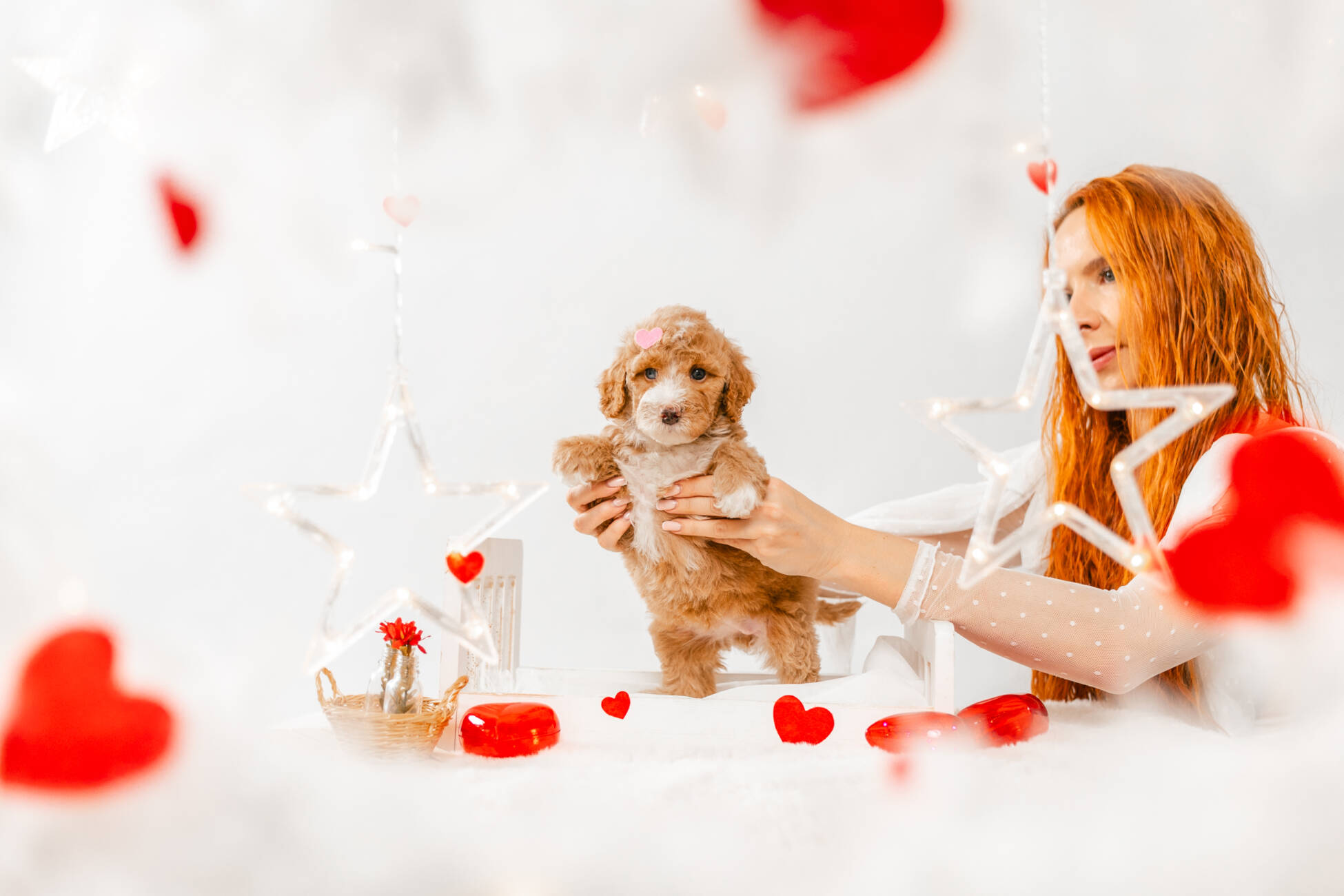 7litter 1g7033мелоди 3