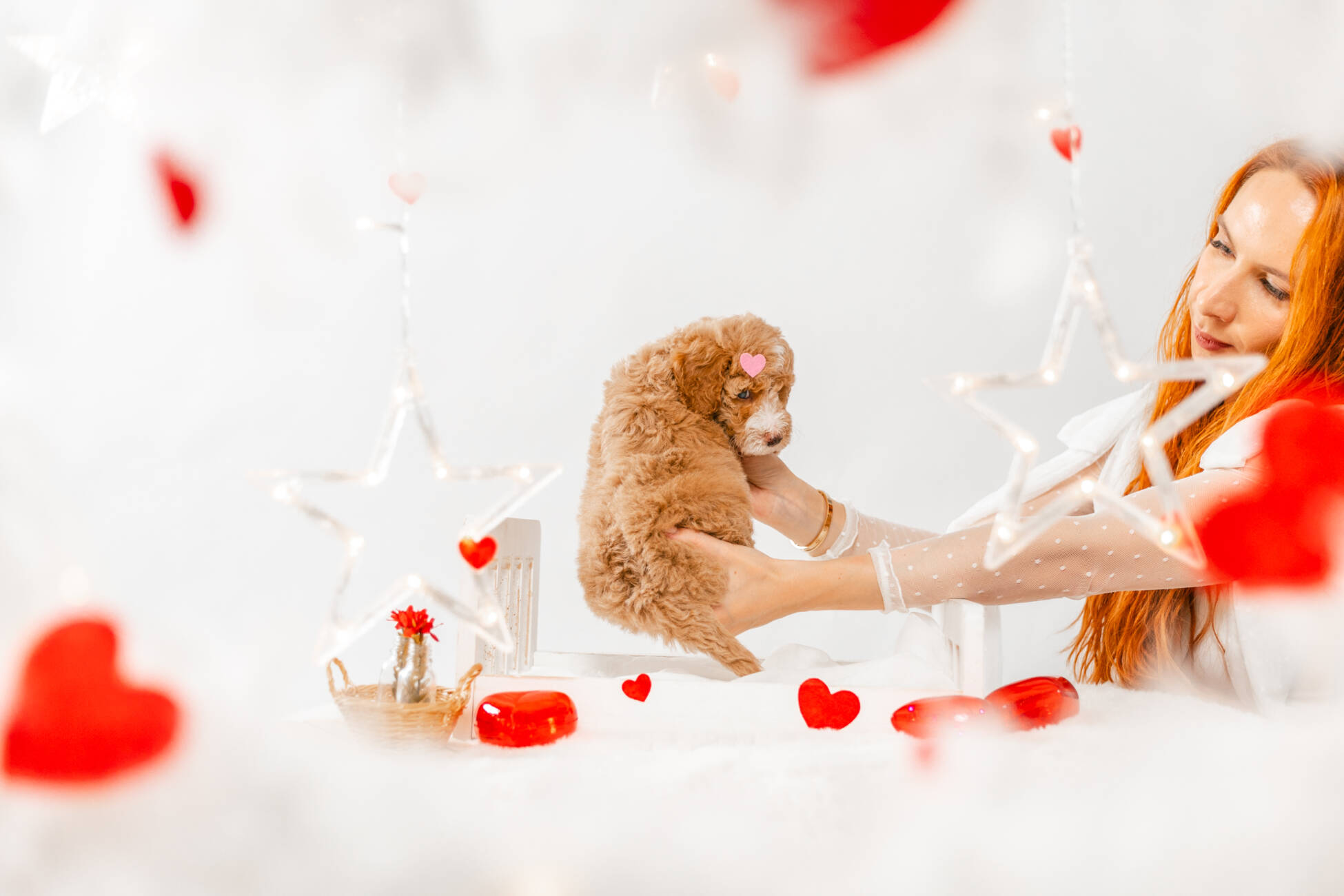 7litter 1g7033мелоди 5