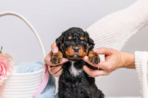 1litter 1g7076карма 5