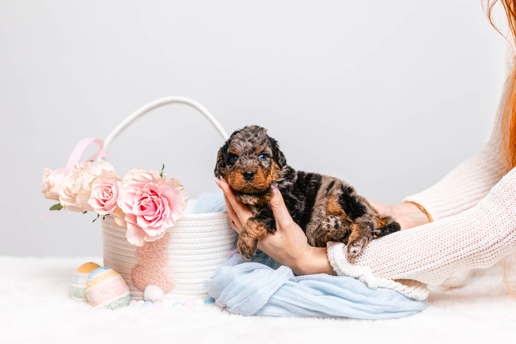 1litter 4g7077кики 2