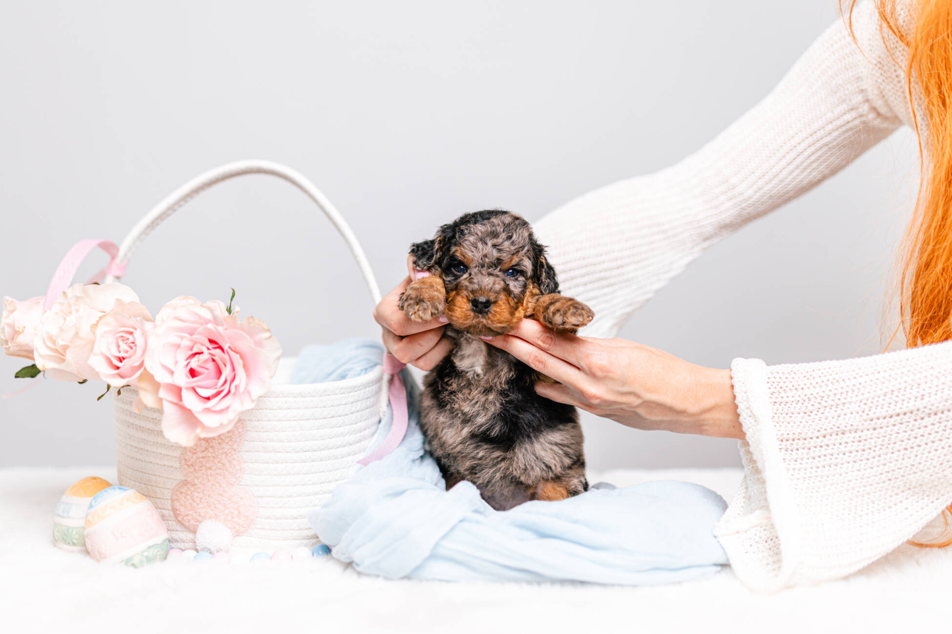 1litter 4g7077кики 3