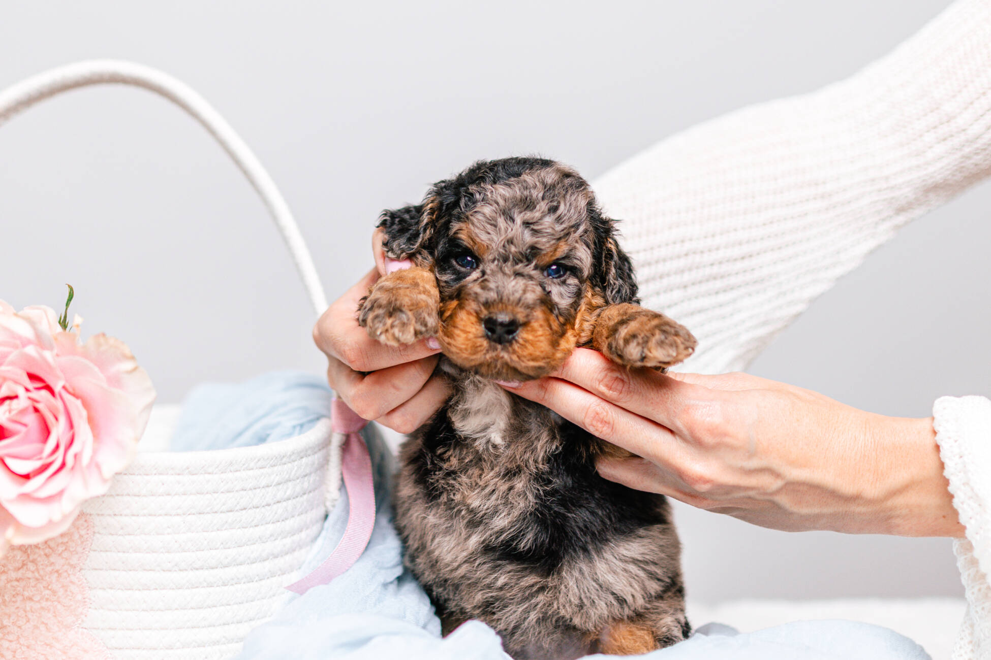 1litter 4g7077кики 4