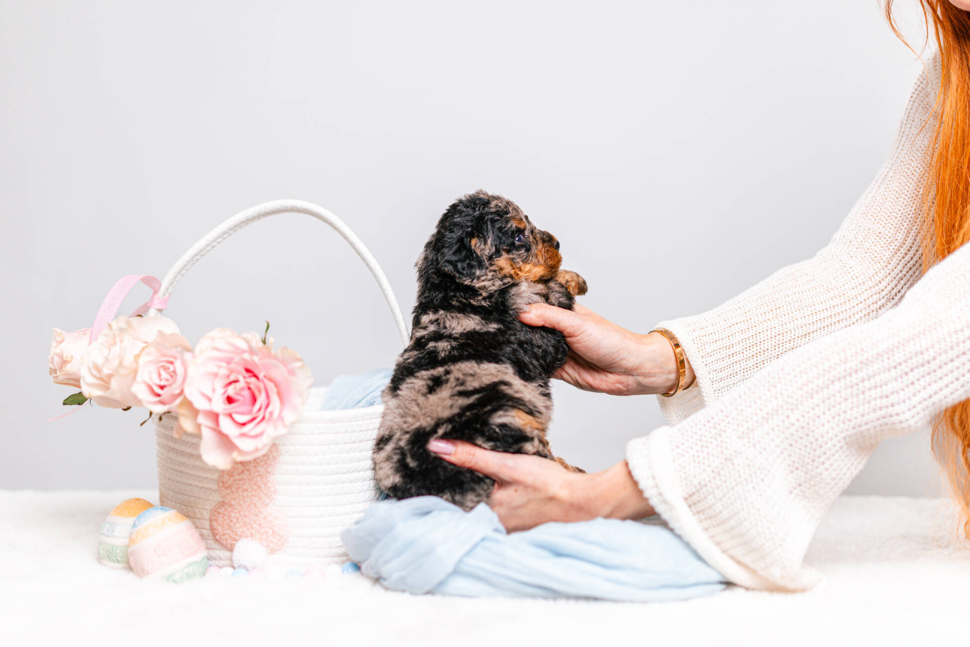 1litter 4g7077кики 5