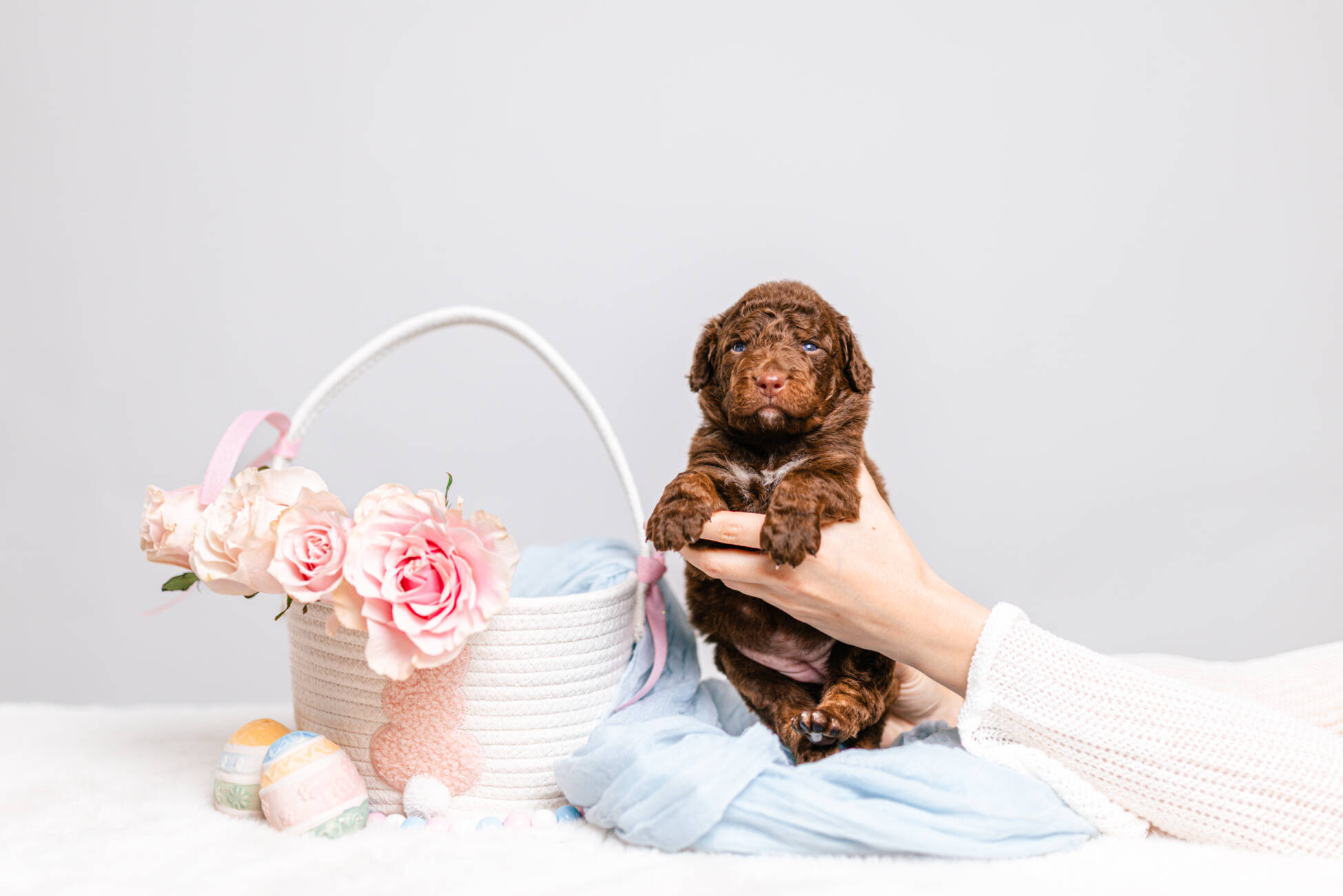 1litter 5g7080кали 1