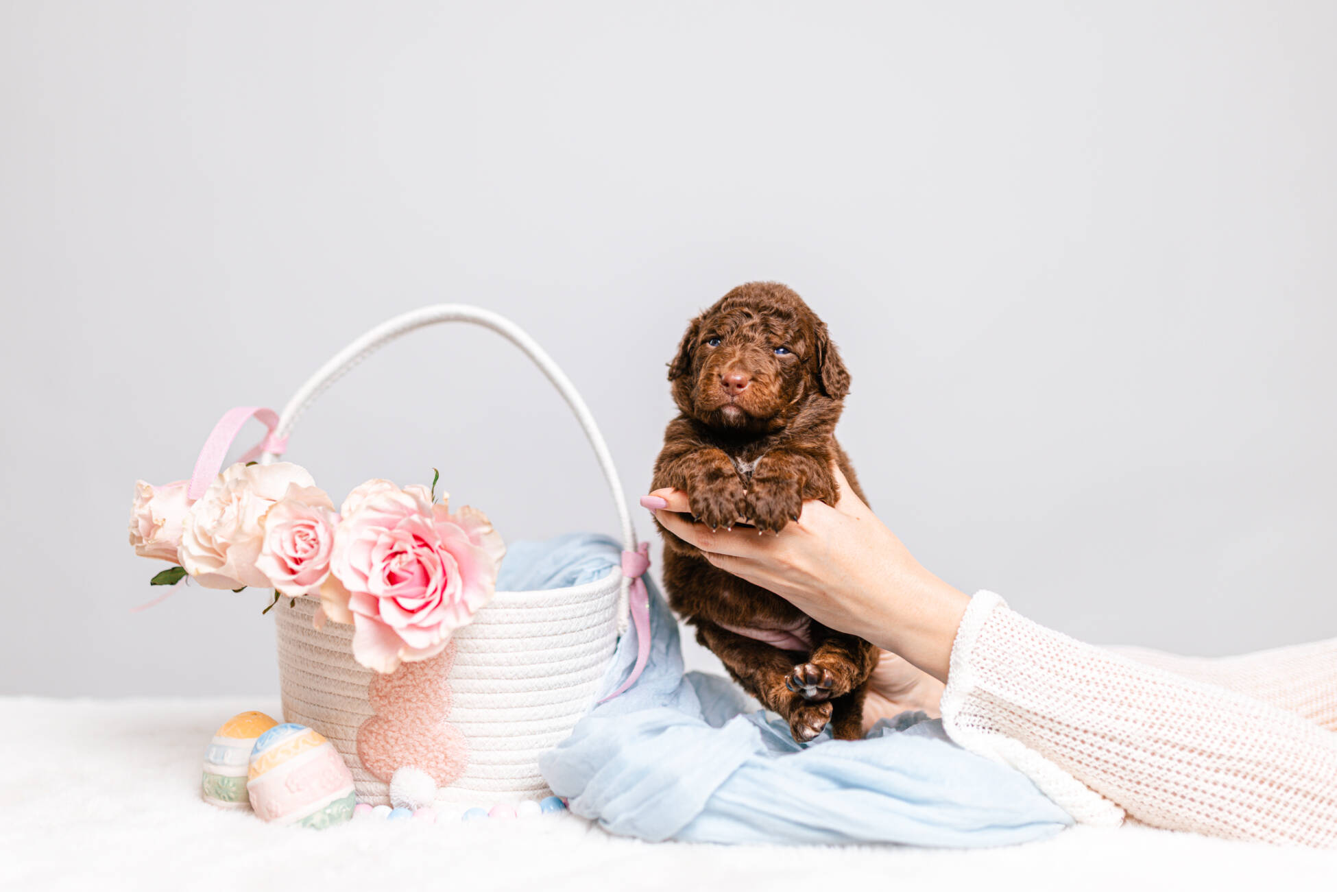 1litter 5g7080кали 2