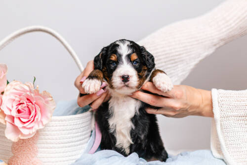 1litter 7В7074кода 4