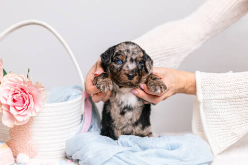 1litter 8В7078кай 3