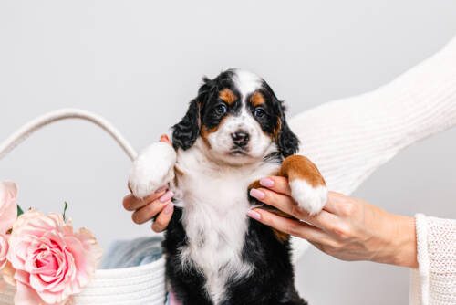 2litter 1g7026аляска 3