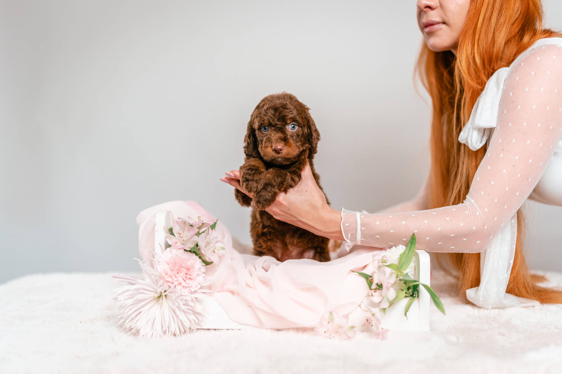 2litter 1g7081кайя 1