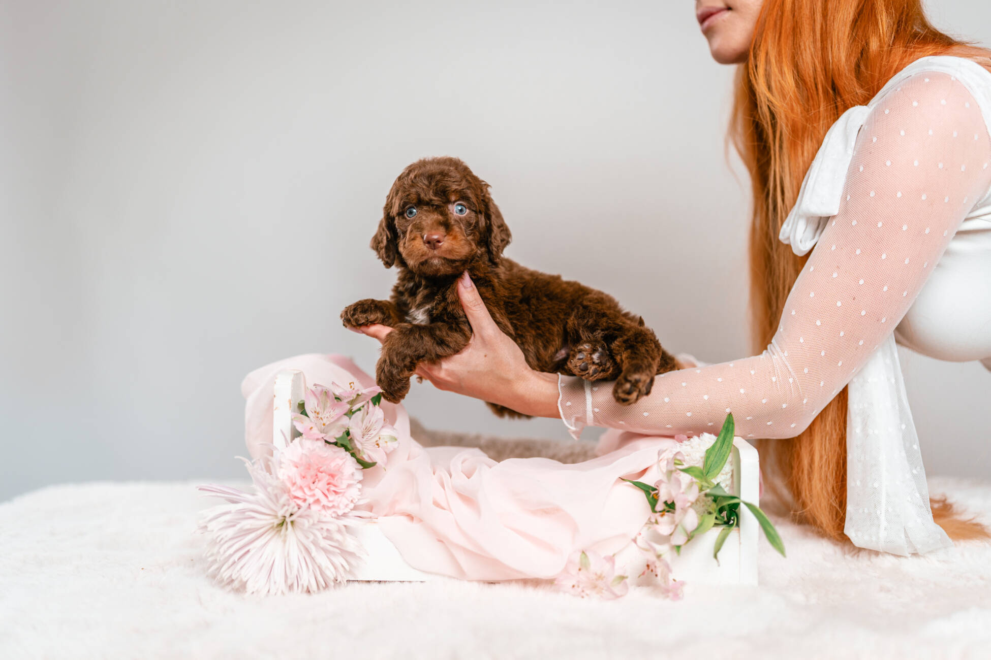 2litter 1g7081кайя 2