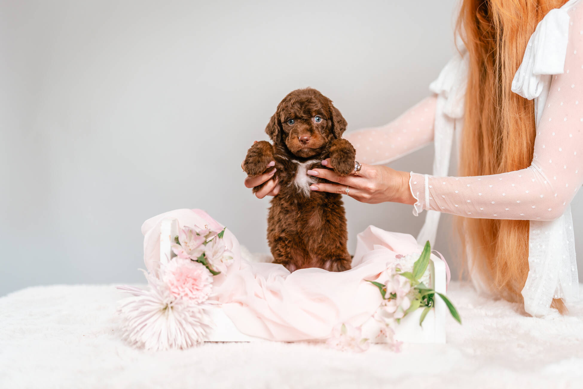 2litter 1g7081кайя 3