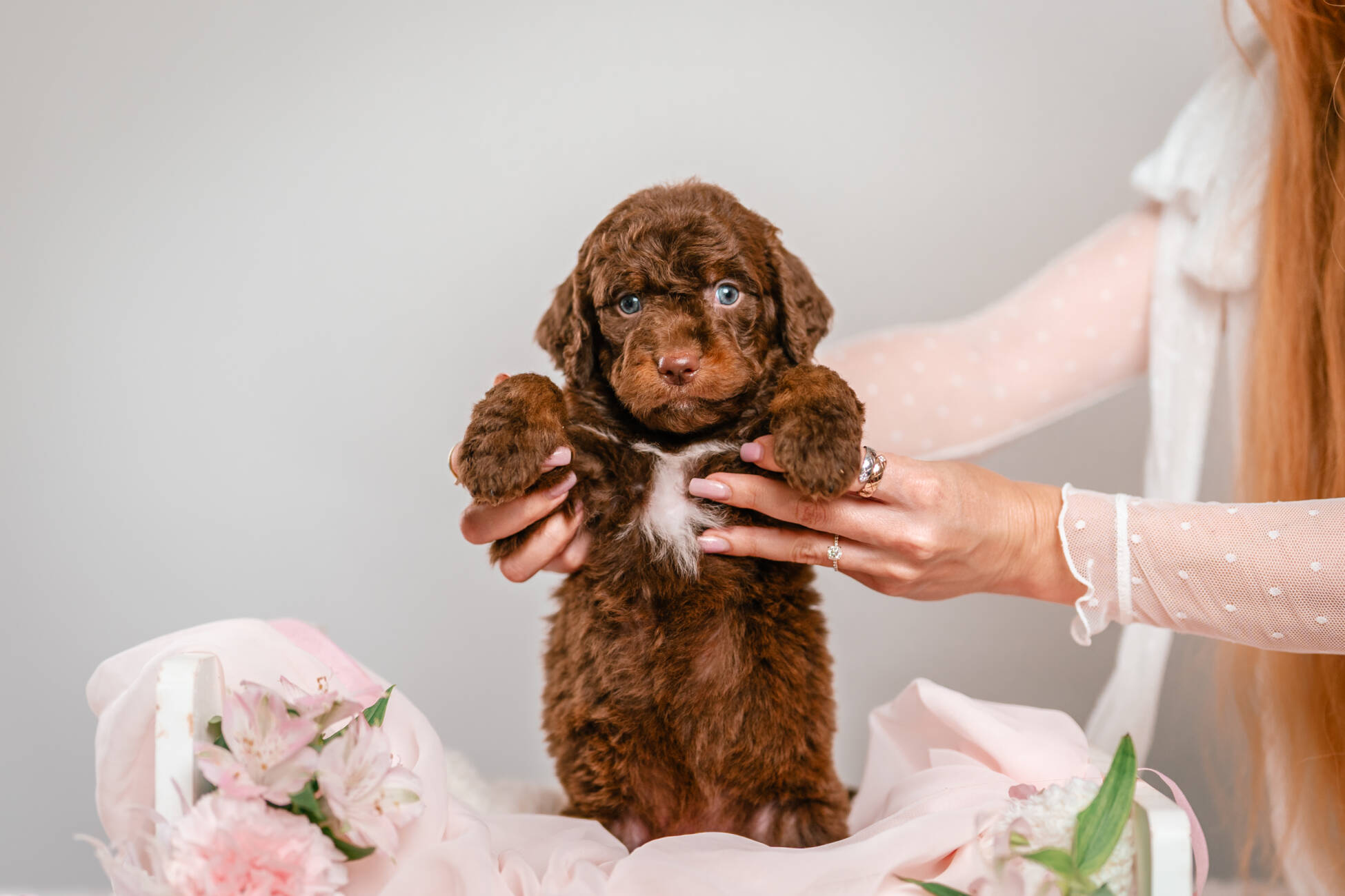 2litter 1g7081кайя 4