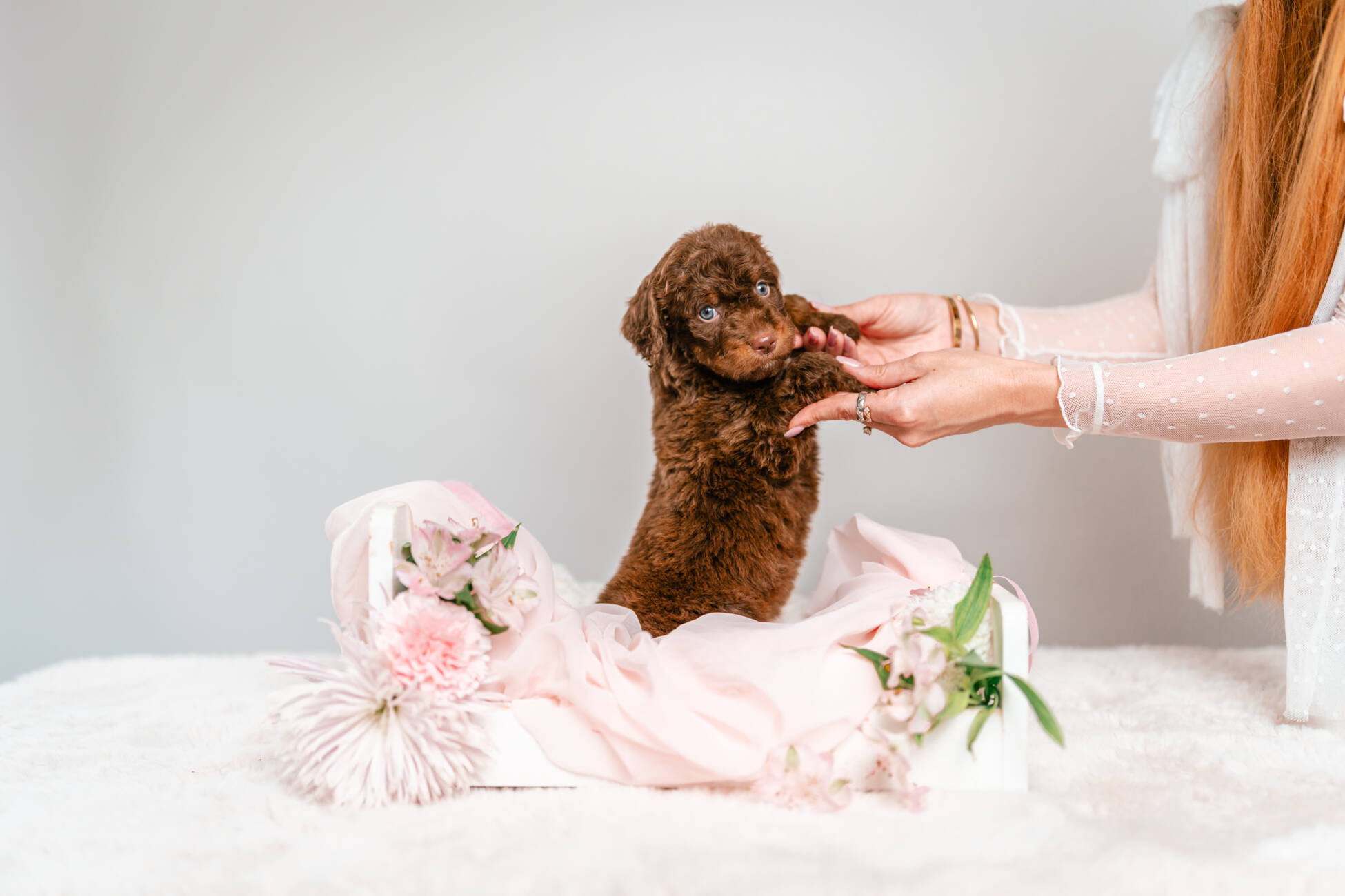 2litter 1g7081кайя 5