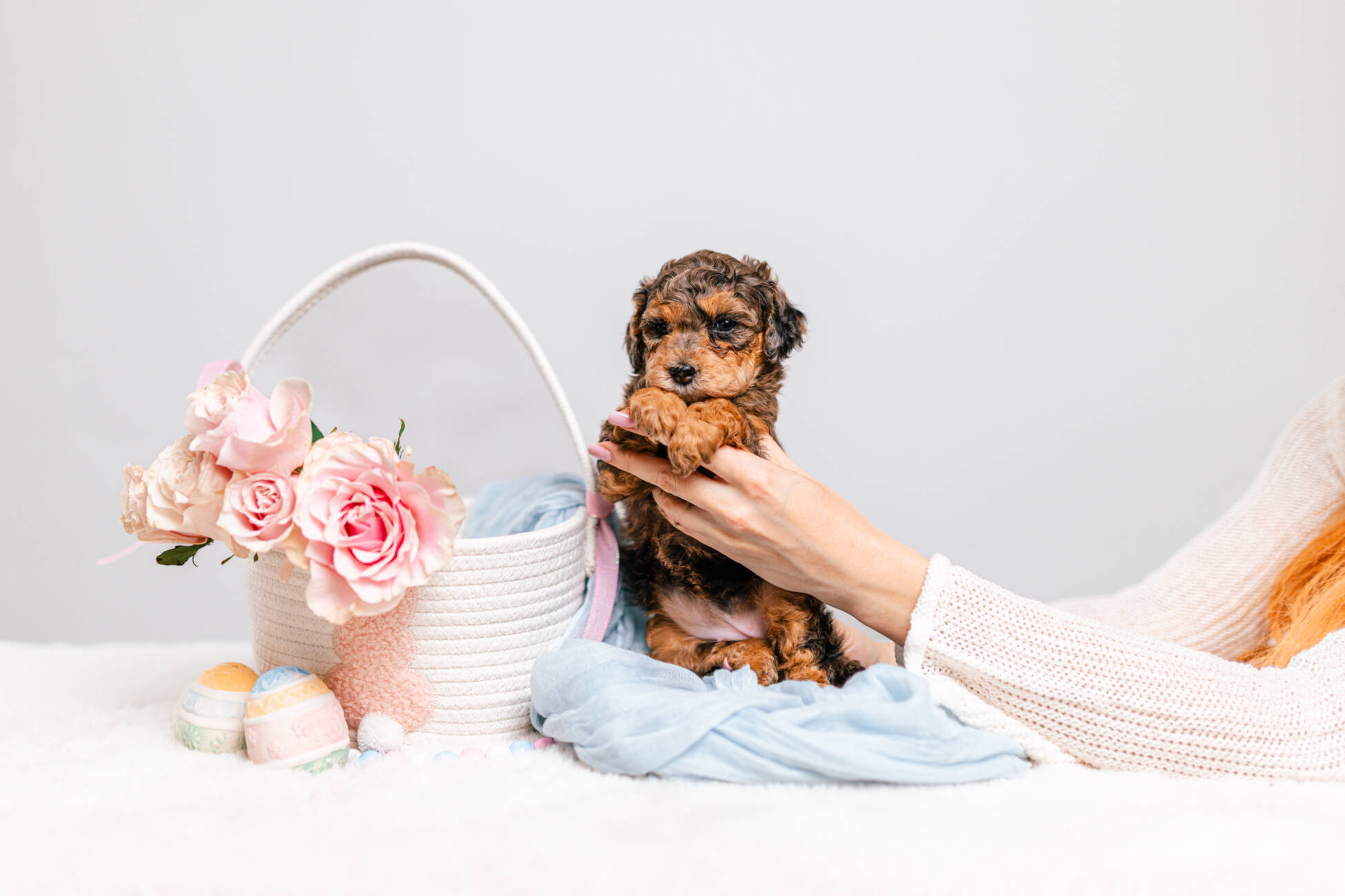 2litter 2g7027амели 1