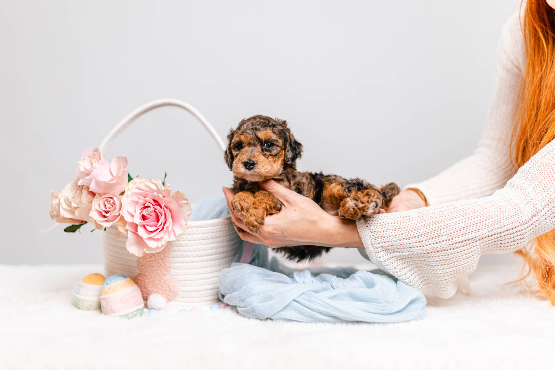 2litter 2g7027амели 2