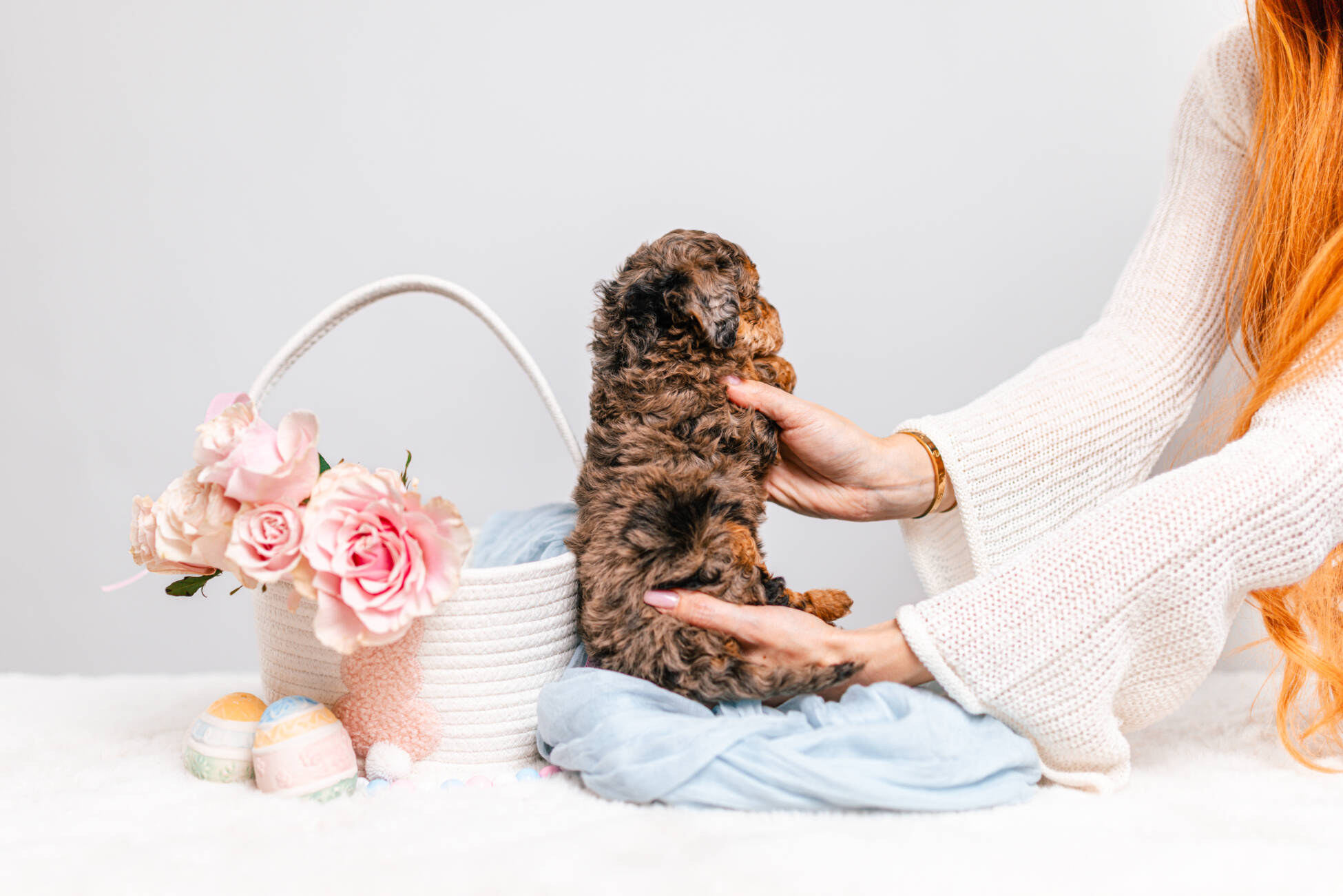 2litter 2g7027амели 5