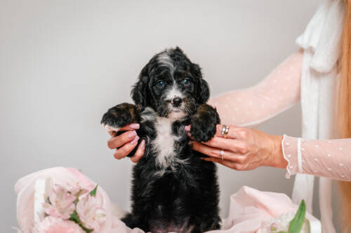 2litter 2g7075кира 4