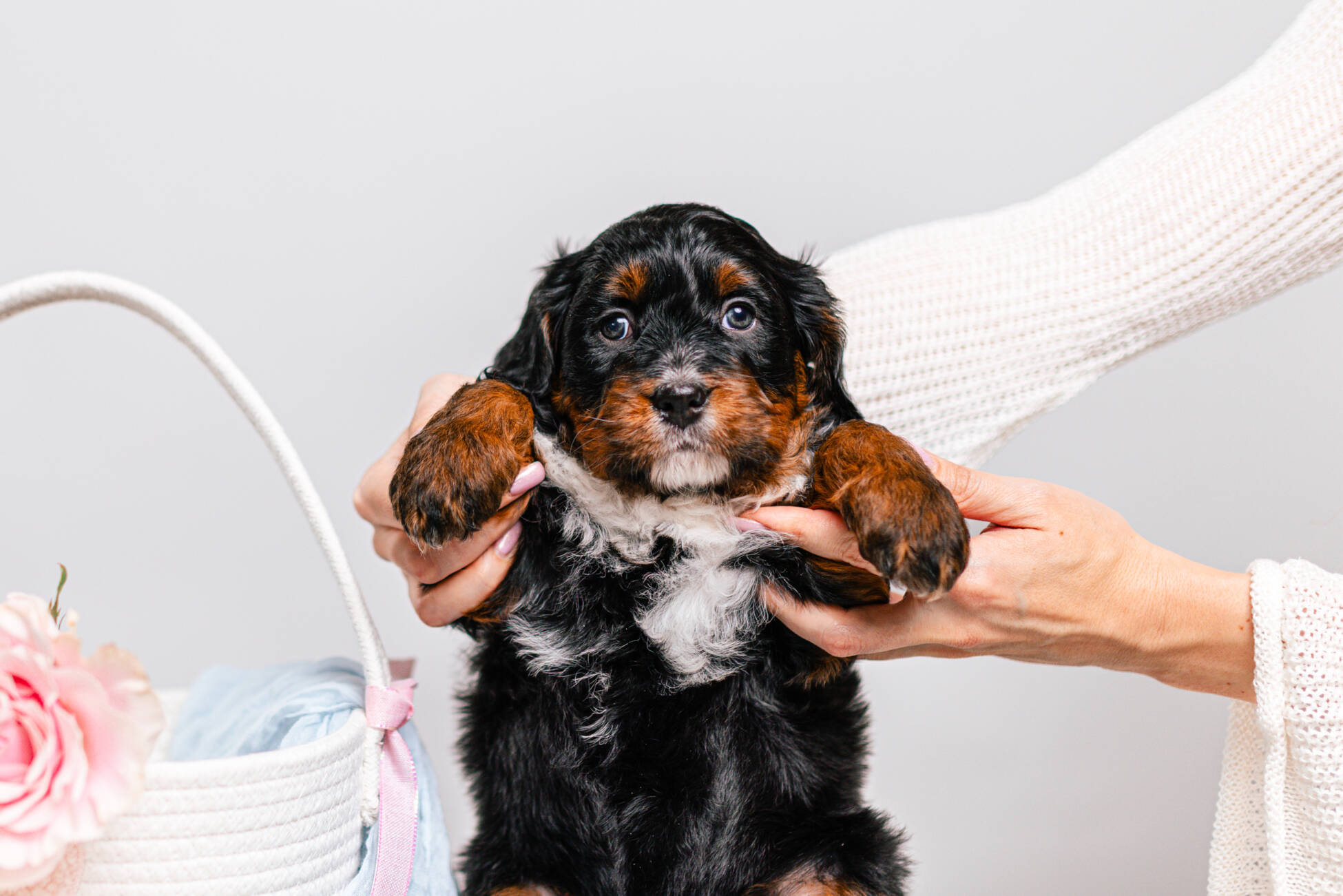 2litter 3В7025арчи 1