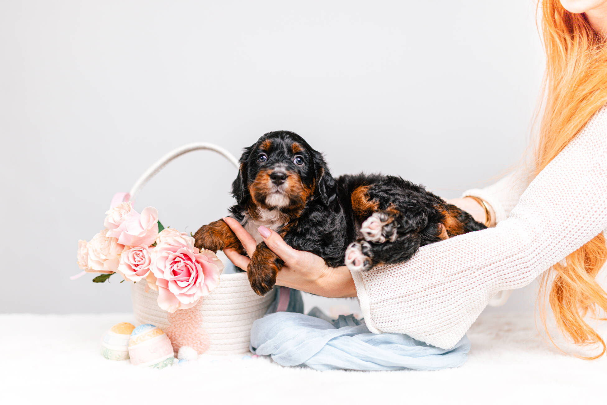 2litter 3В7025арчи 3