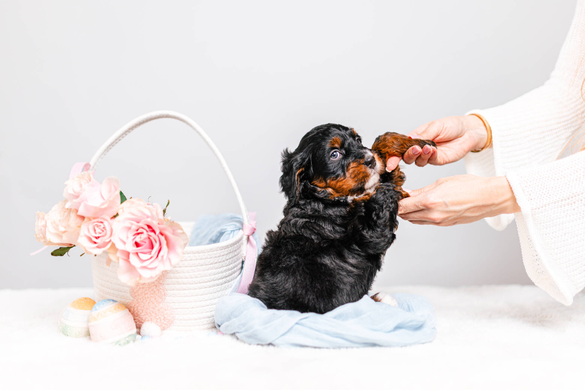 2litter 3В7025арчи 4