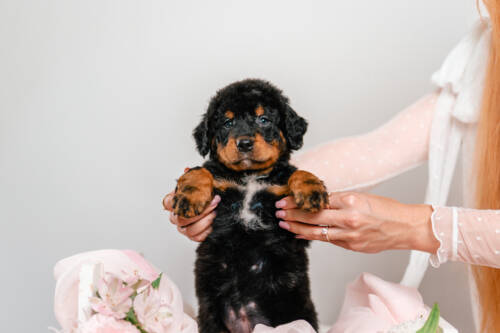 2litter 6g7076карма 3