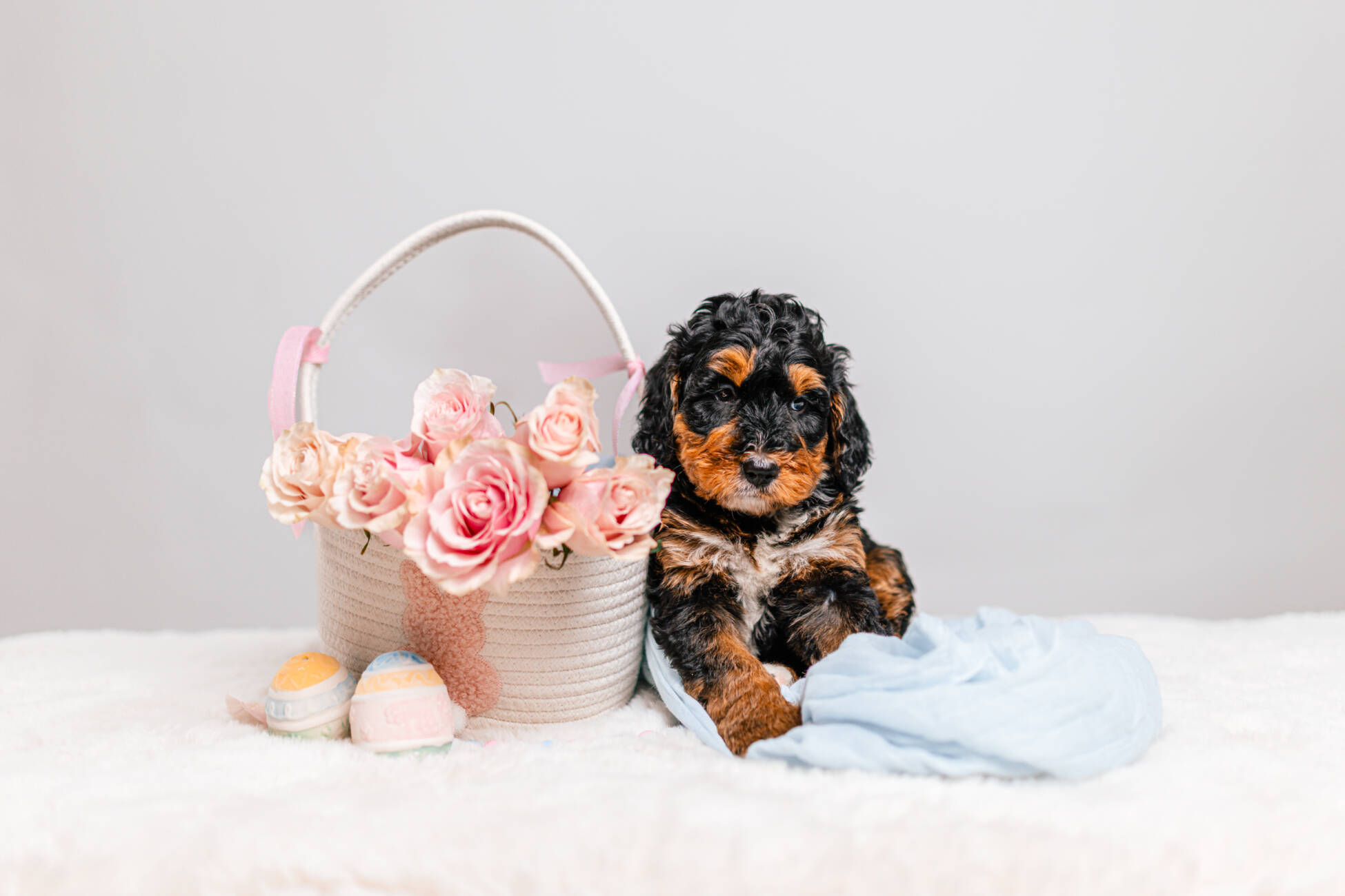 3litter 10В7048бруно 1