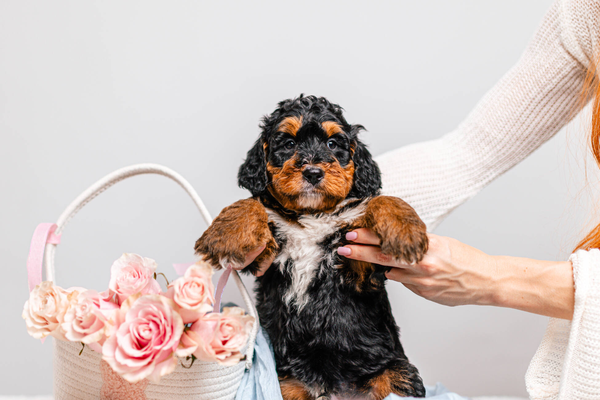 3litter 10В7048бруно 2